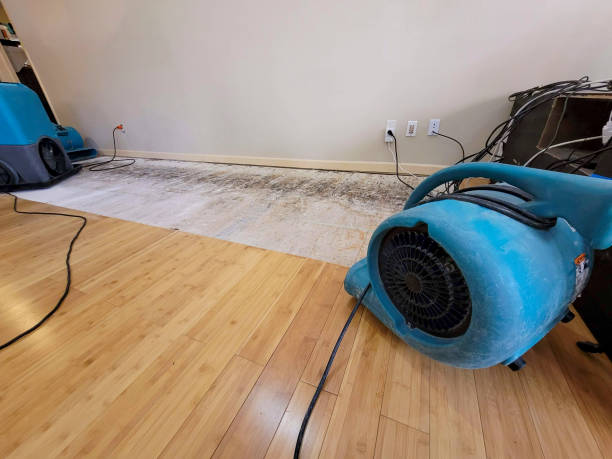 Reliable Basement Flood Cleanup contractor in Warrenville, IL by Hirex Water Damage
