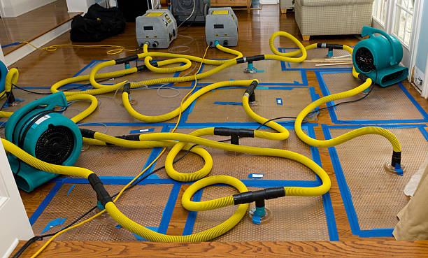 Professional Basement Flood Cleanup technician working in Warrenville, IL